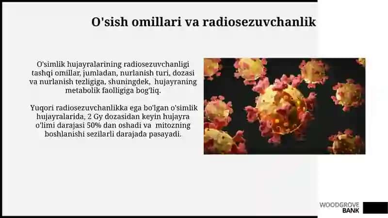 O'simlik hujayralarining radiosezuvchanligi 3