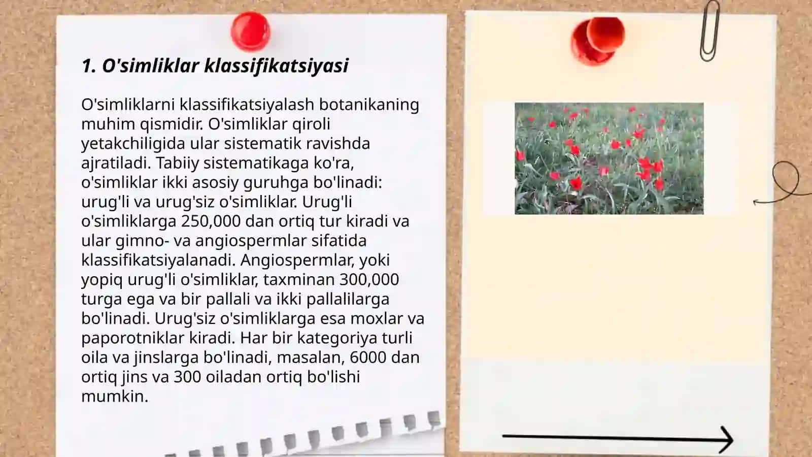 O'simliklar dunyosi 3
