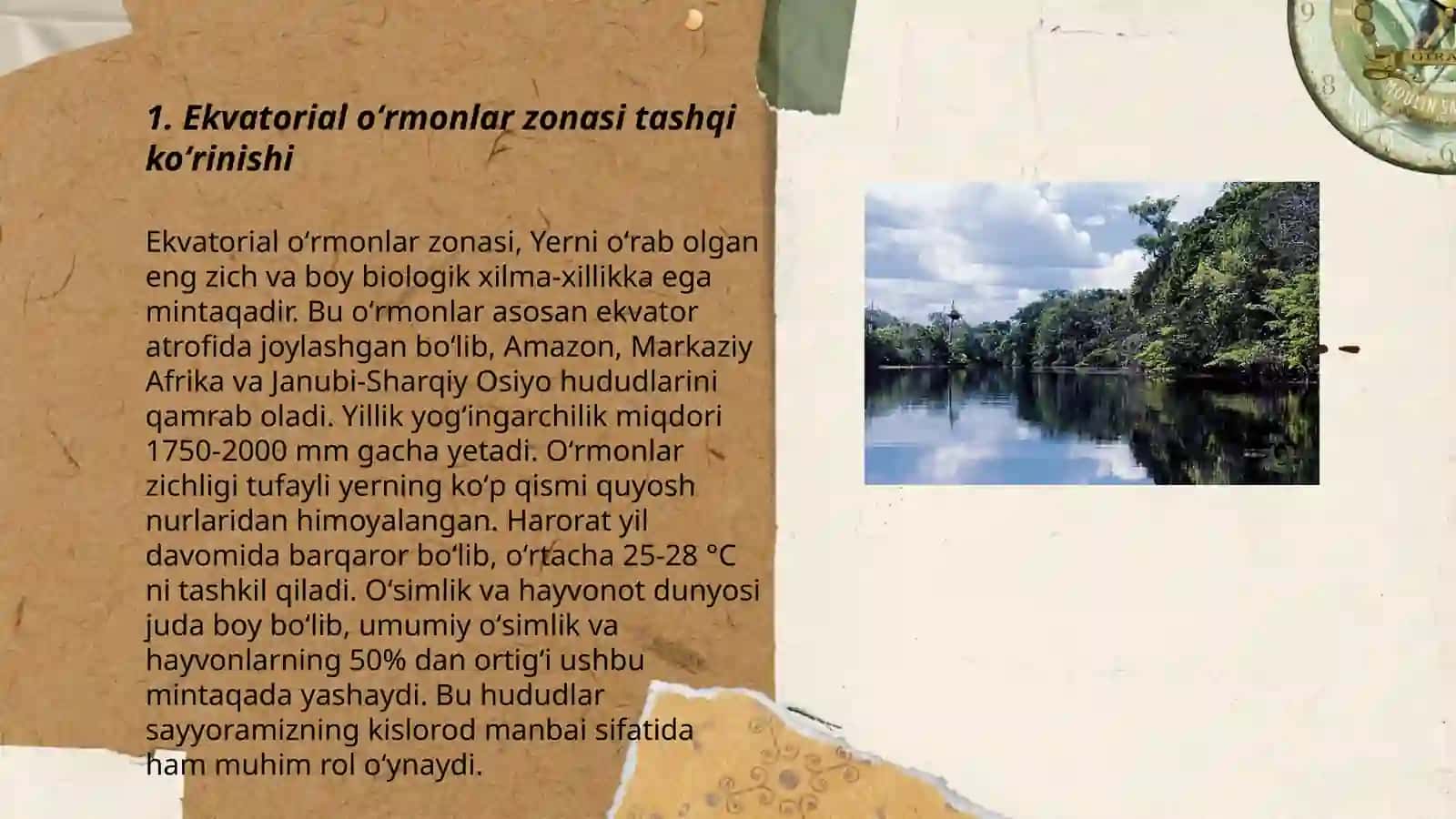 Ekvatorial oʻrmonlar zonasi tarqalgan materiklar tavsifi 3