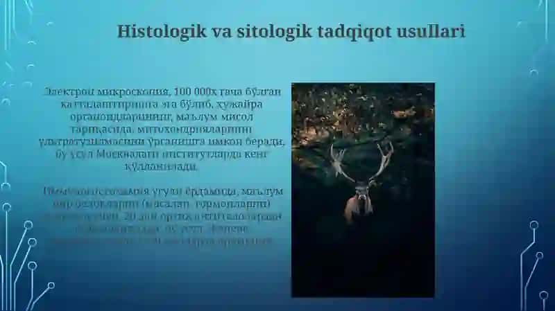 Inson va Hayvon Fiziologiyasi 3