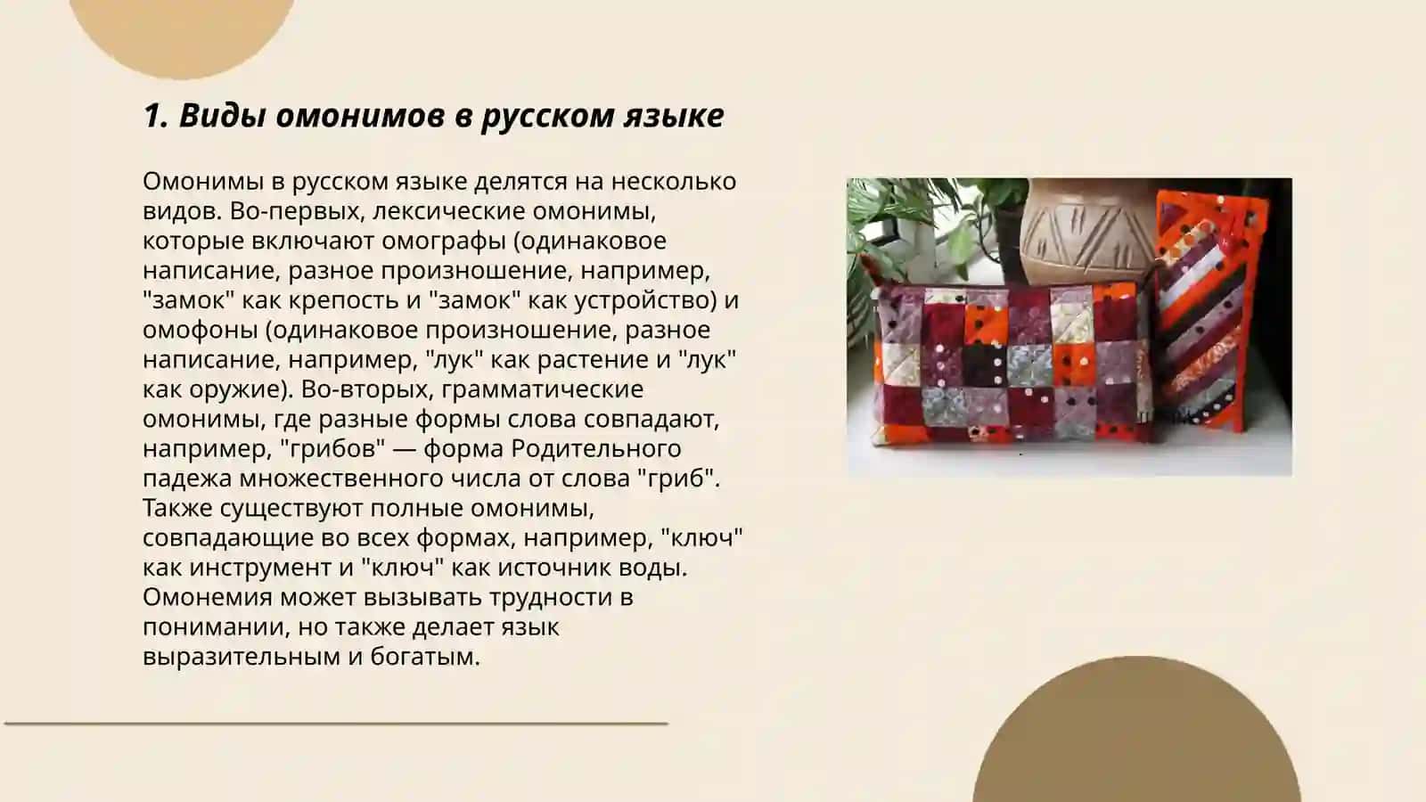 Омонимы в современном литературном языке 3