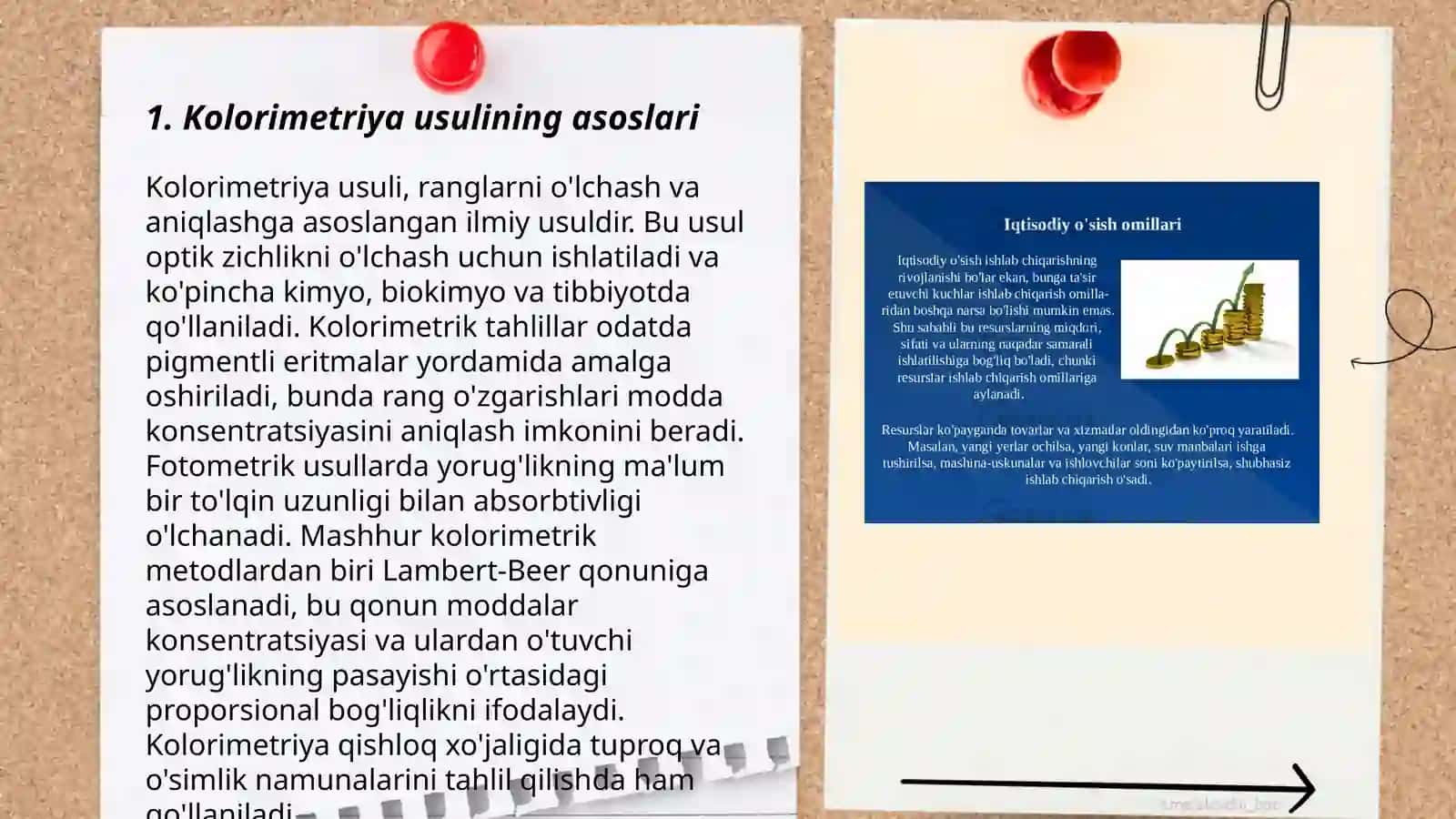 Qarshiboyeva ozoda 3
