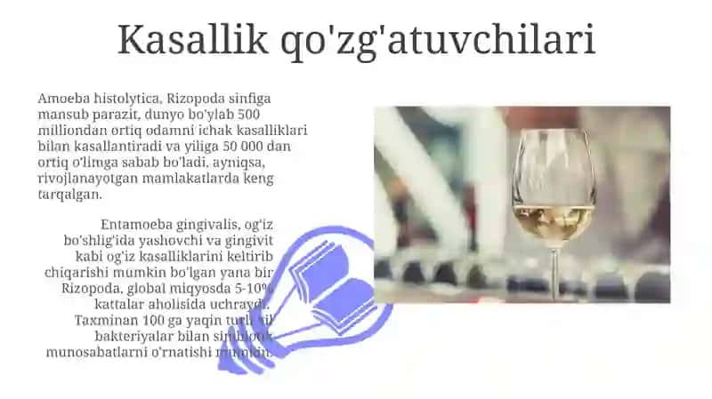 Rhizopoda sinfi: ekologiyasi va ahamiyati 3