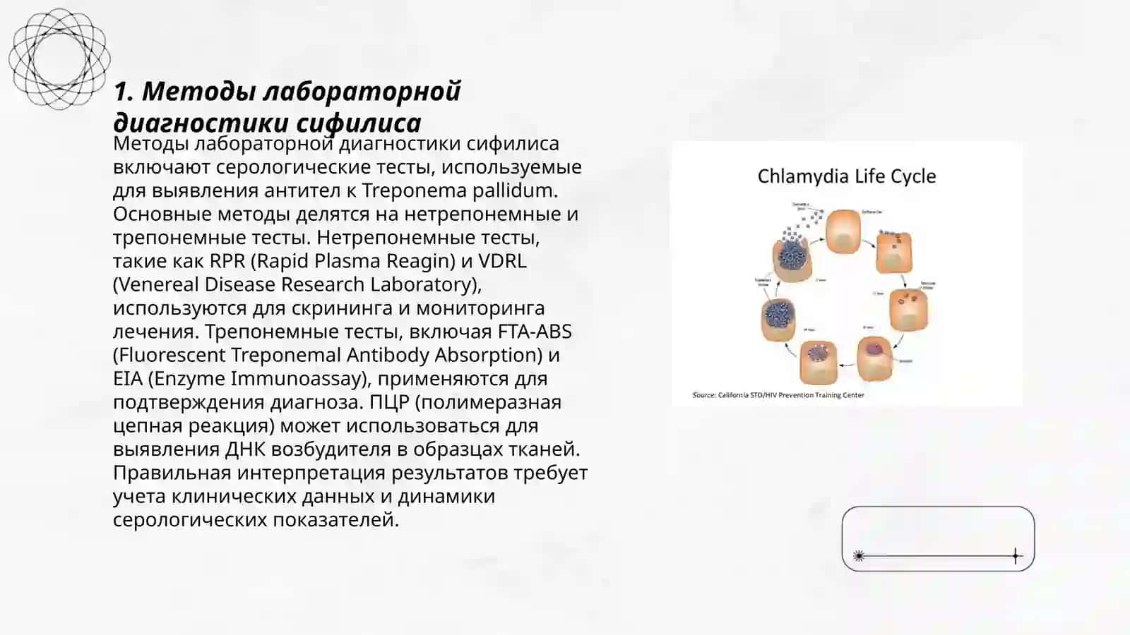 Лабораторная диагностика и характеристика возбудителей кожно-венерических заболеваний: сифилиса, гонореи, хламидиоза 3
