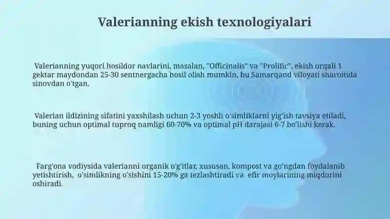 Valeriana oʻsimligini yetishtirish texnologiyasi 3