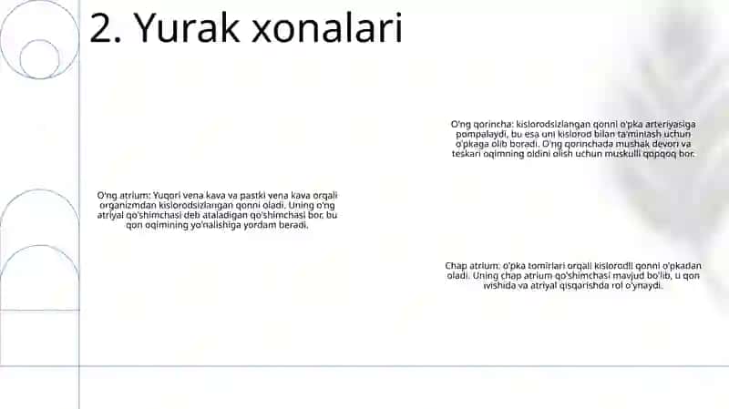 Yurak Va Qon Tomir Sistemalarining Tuzilishi Va Topografiyasi 3