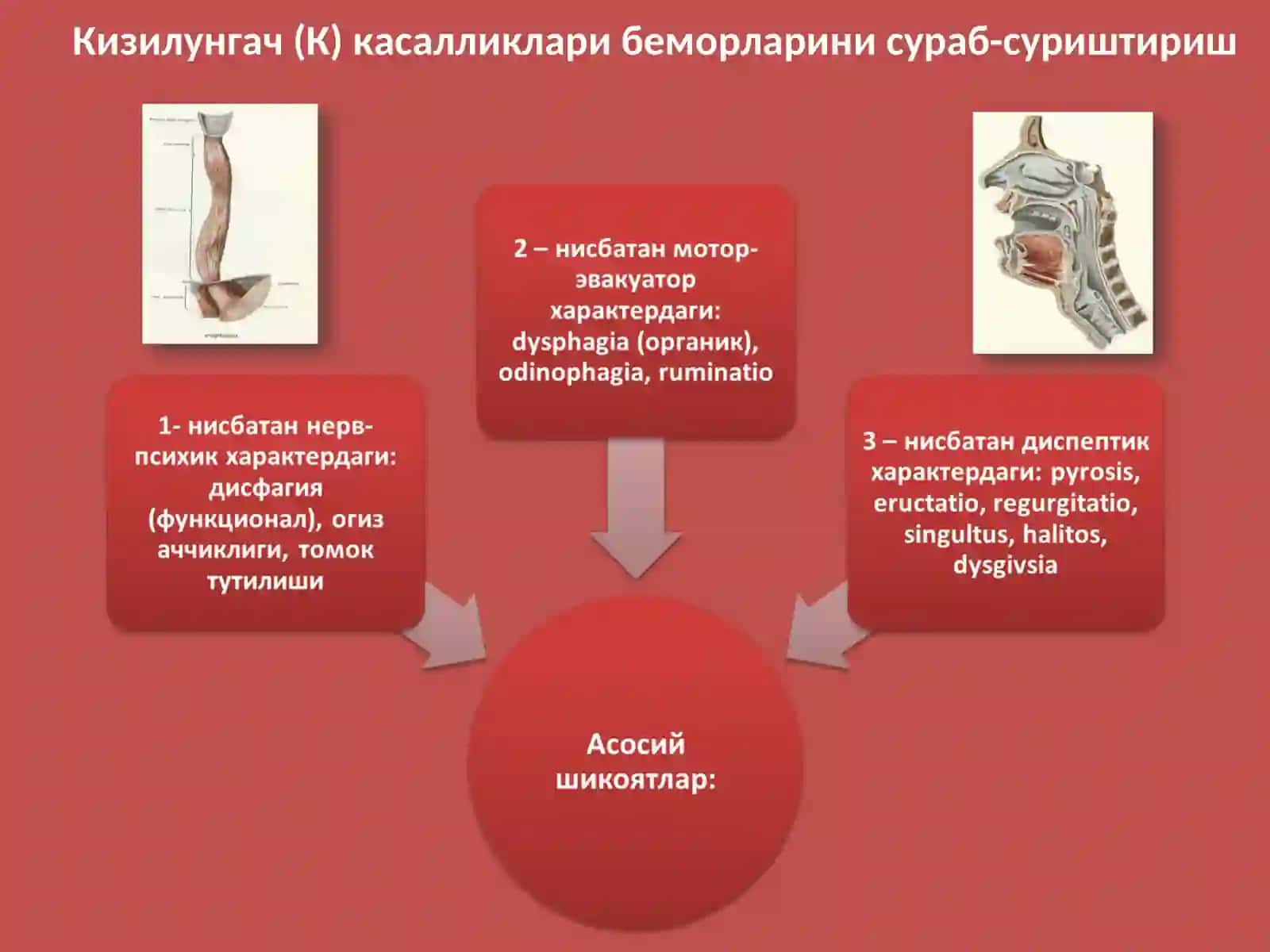Кизилунгач (К) касалликлари беморларини сураб-суриштириш 3
