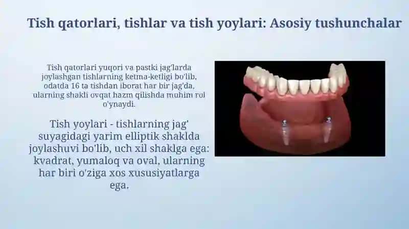 Tish yoylarining shakllari. Tish va tish yoylari 3