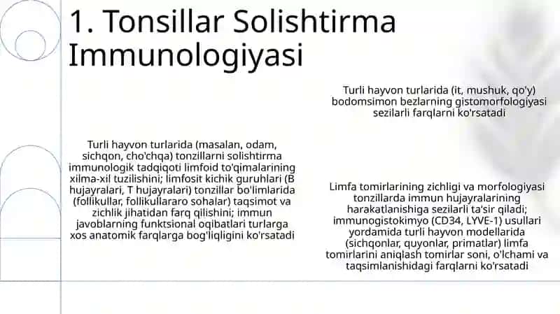 Hayvonlarda limfa tomirlari, bodomsimon bezlar gistomorfologiyasi 3