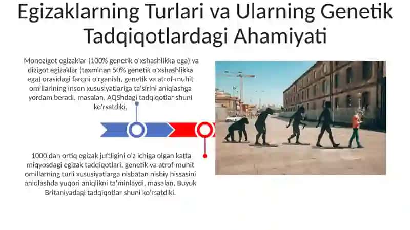 Odam genetikasini oʻrganish usullari genolagik egizaklar usuli 3