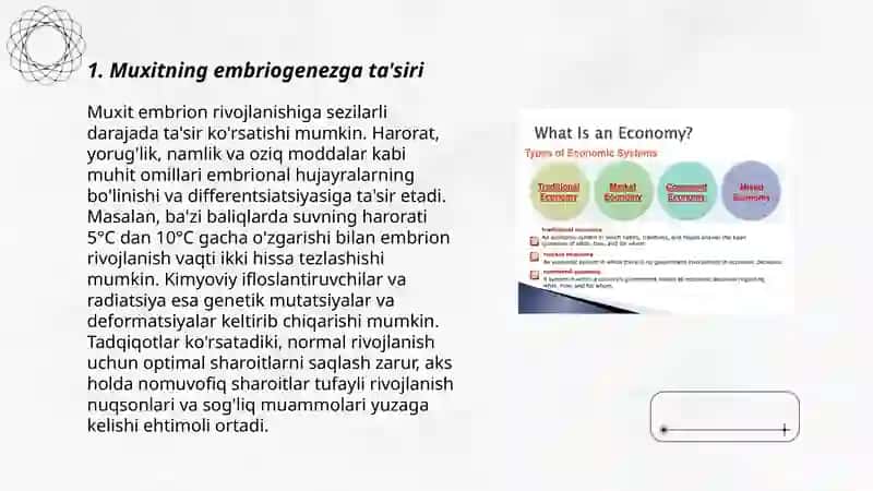 Muxit omillarinning embirogenez va tugma ruvojlanishdagi omillari 3
