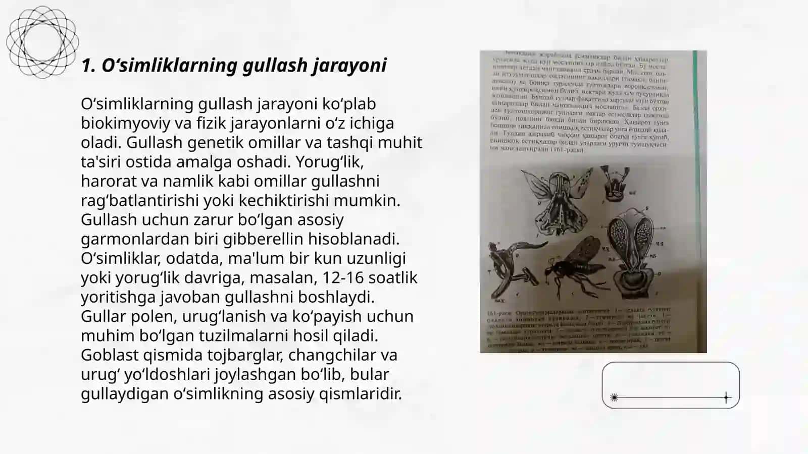 Oʻsimliklarning gullashi va changlanishi 3