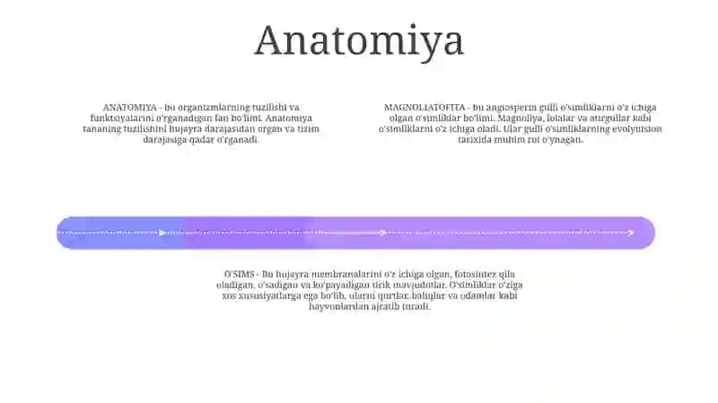 Anatomiya 3