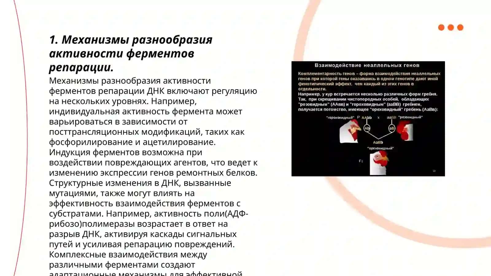 Механизмы разнообразия активности ферментов репарации 3