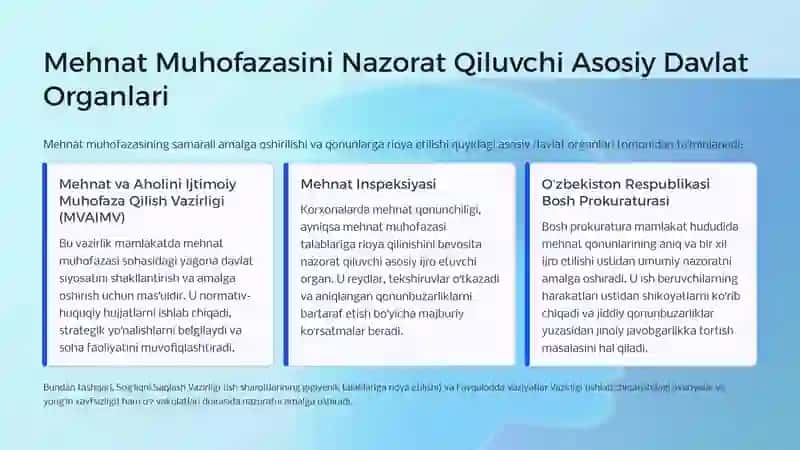 Mehnat Muhofazasining Huquqiy Va Tashkiliy Asoslarini Nazorat Qiluvchi Organlar 3