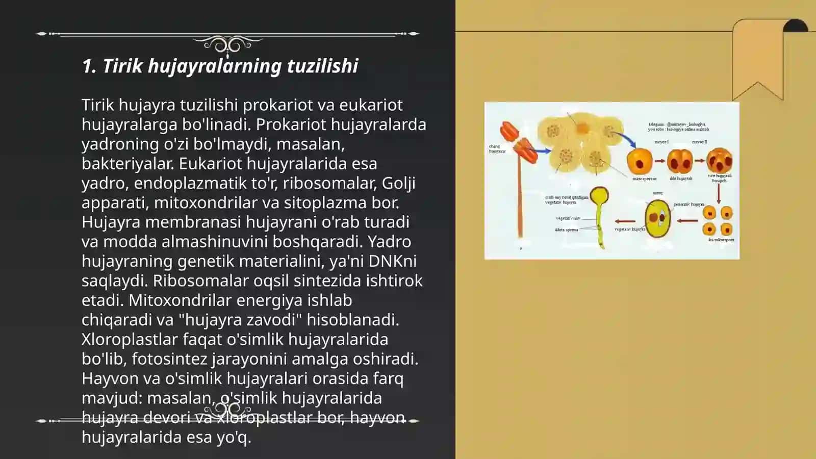 Tirik hujayralarning qiyosiy tahlili 3