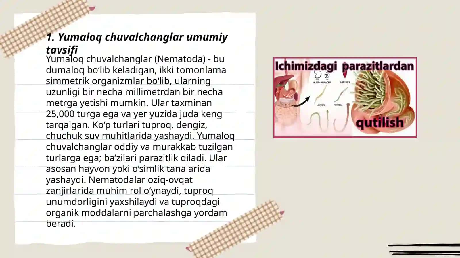 Yumaloq chuvalchanglar 3