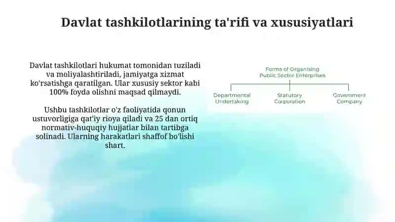 Davlat tashkilotlarining mohiyati va tuzilishi 3