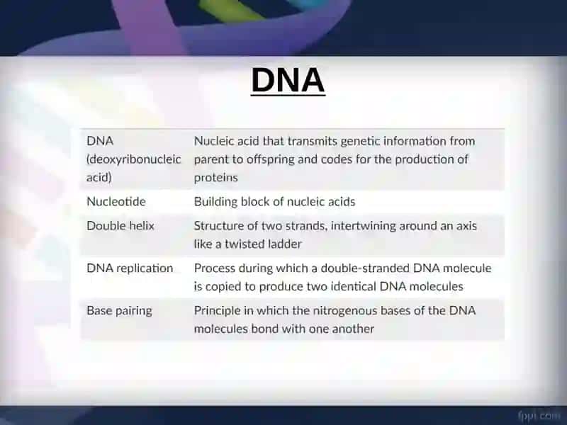STRUCTURE OF DNK 3