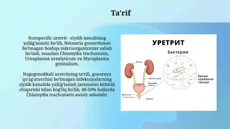 Nogonokokli uretritlar 3