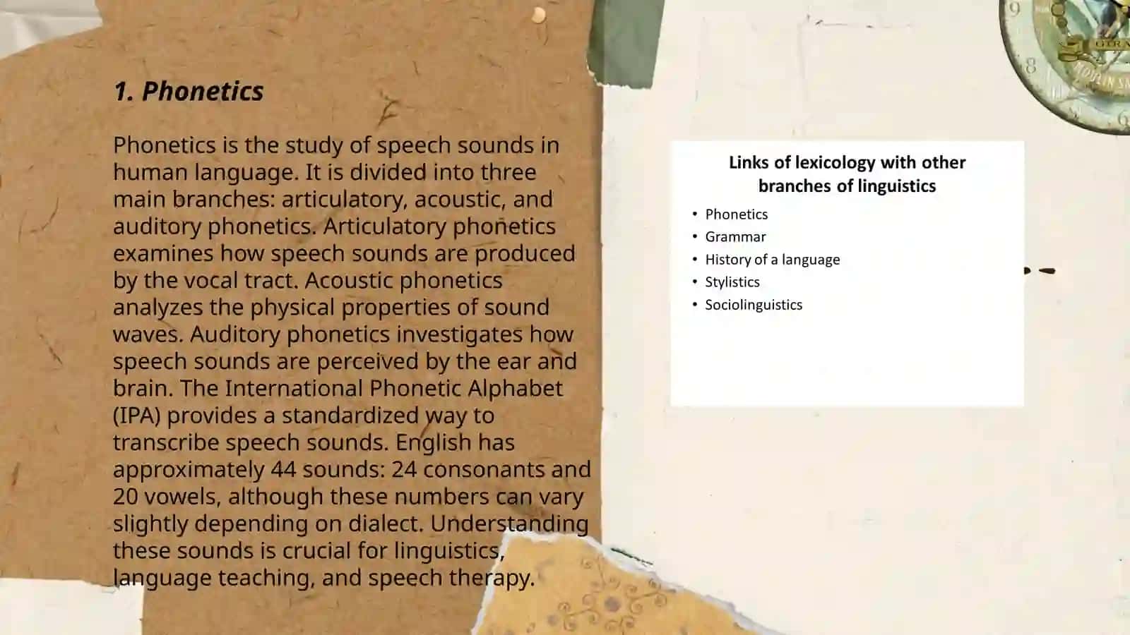 Branches of linguistics 3