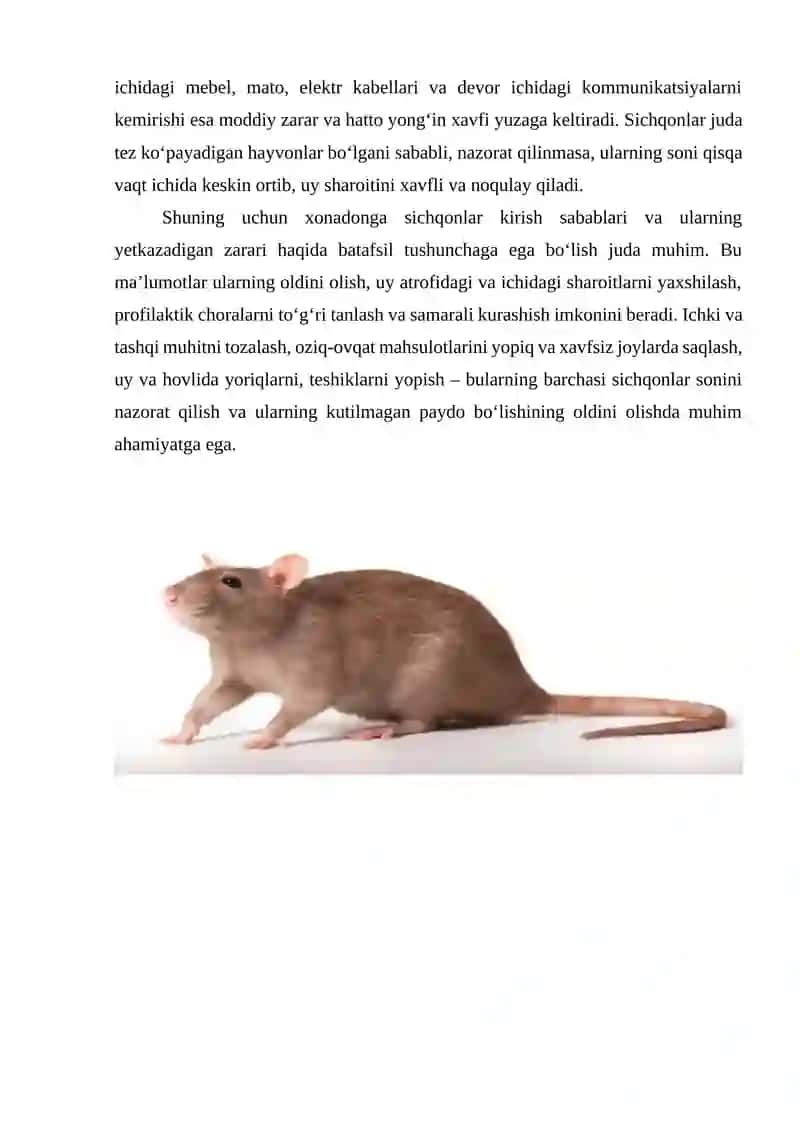 Xonadonlarda dala va uy sichqonlariga qarshi kurashish 3