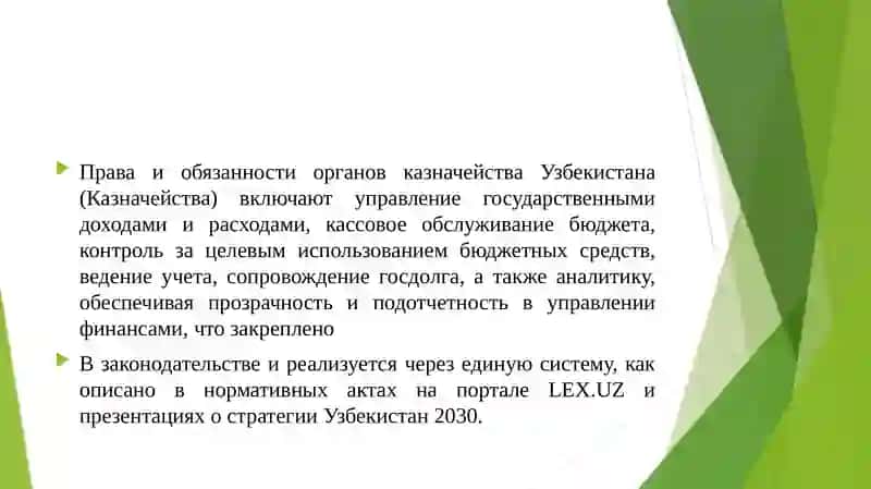 Права и обязанности органов казначейства 3