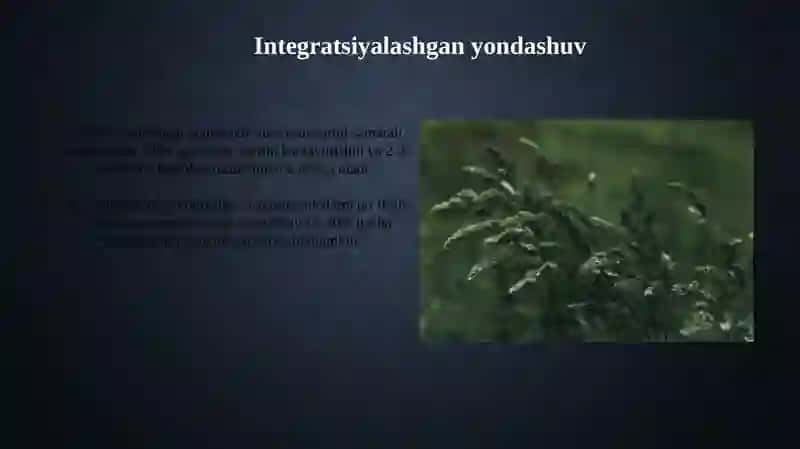 Integratsiyalashgan yondashuv 3