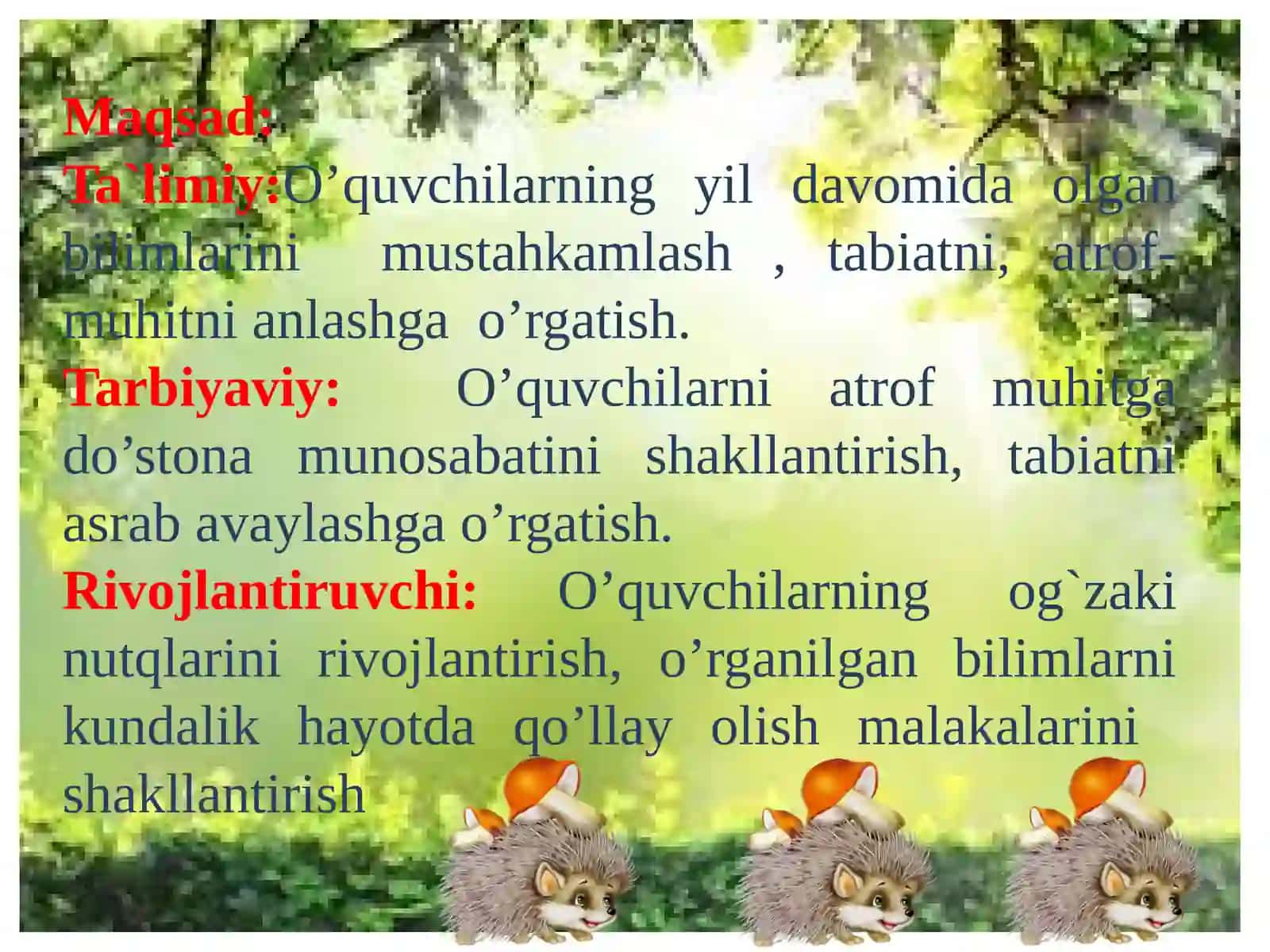O’lkamizda yoz 3