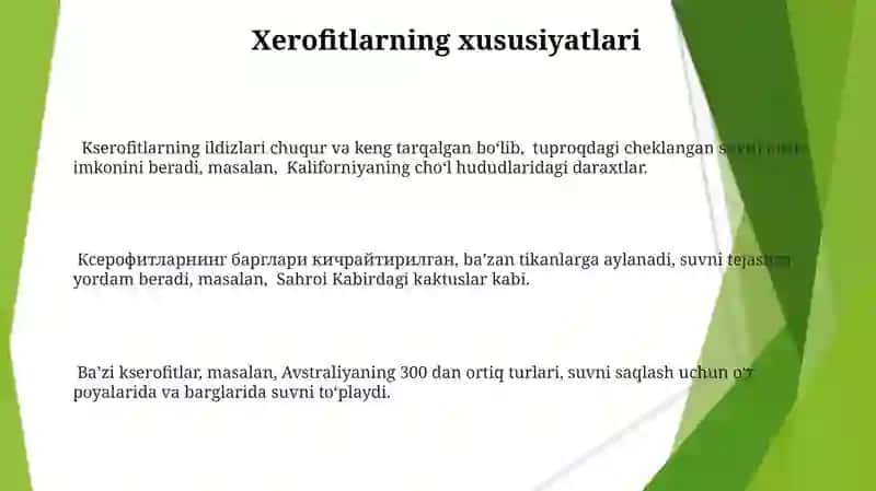 Gidrofıt, gigrofıt, mezofıt va kserofıt oʻsimliklarning ekologik ahamiyati 3