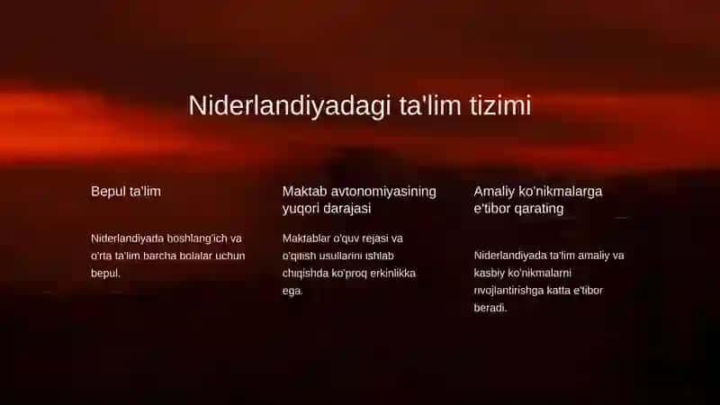Niderlandiya, Hindiston va Finlandiya davlatlari ta'lim tizimi 3