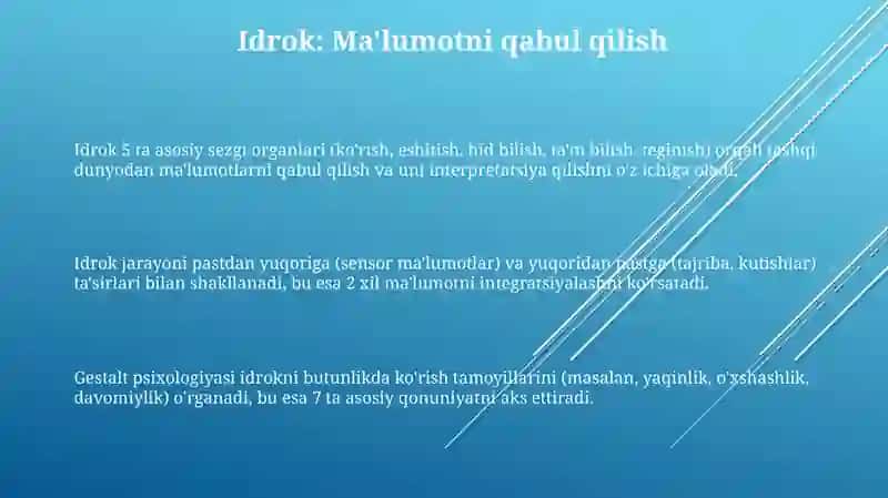 Bilish jarayonlarining qisqacha tasnifi 3