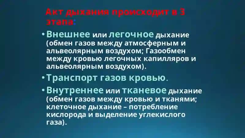 Дыхание при высоком и низком атмосферном давлении 3