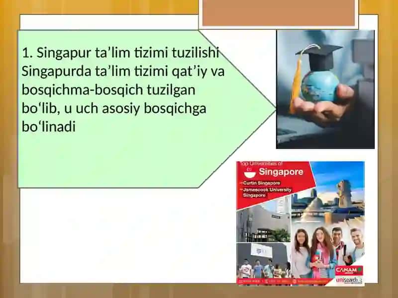 Singapur taʼlim tizimi 3