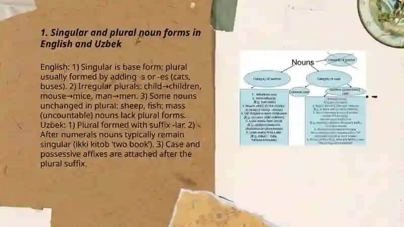 Grammatical categories of nouns (numbers, case) in English and Uzbek 3