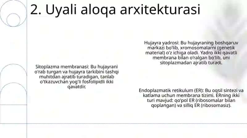 Hujayra Sitoskeletining Strukturaviy Va Funksional Tashkil Etilishi 3