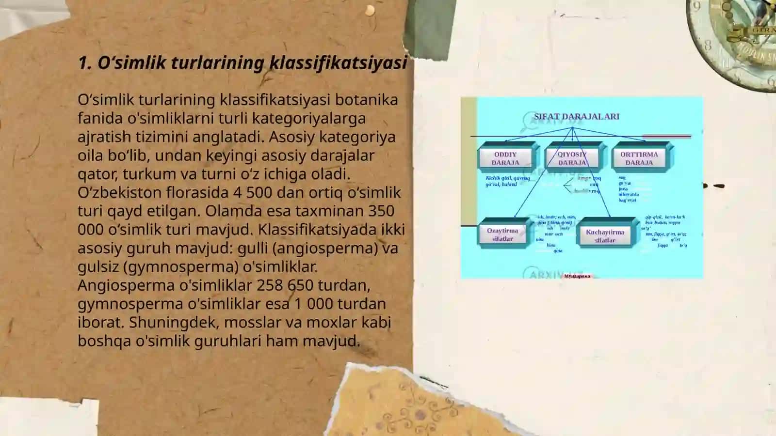 Oʻsimlik turkumlari va ularning tabiiy joylashishlari 3