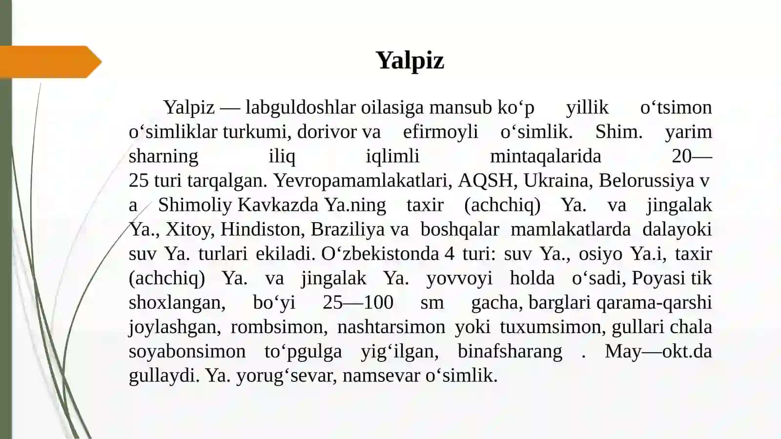 Yalpiz 3