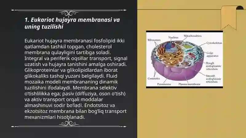 Eukariot hujayralarning umumiy tuzulishi 3