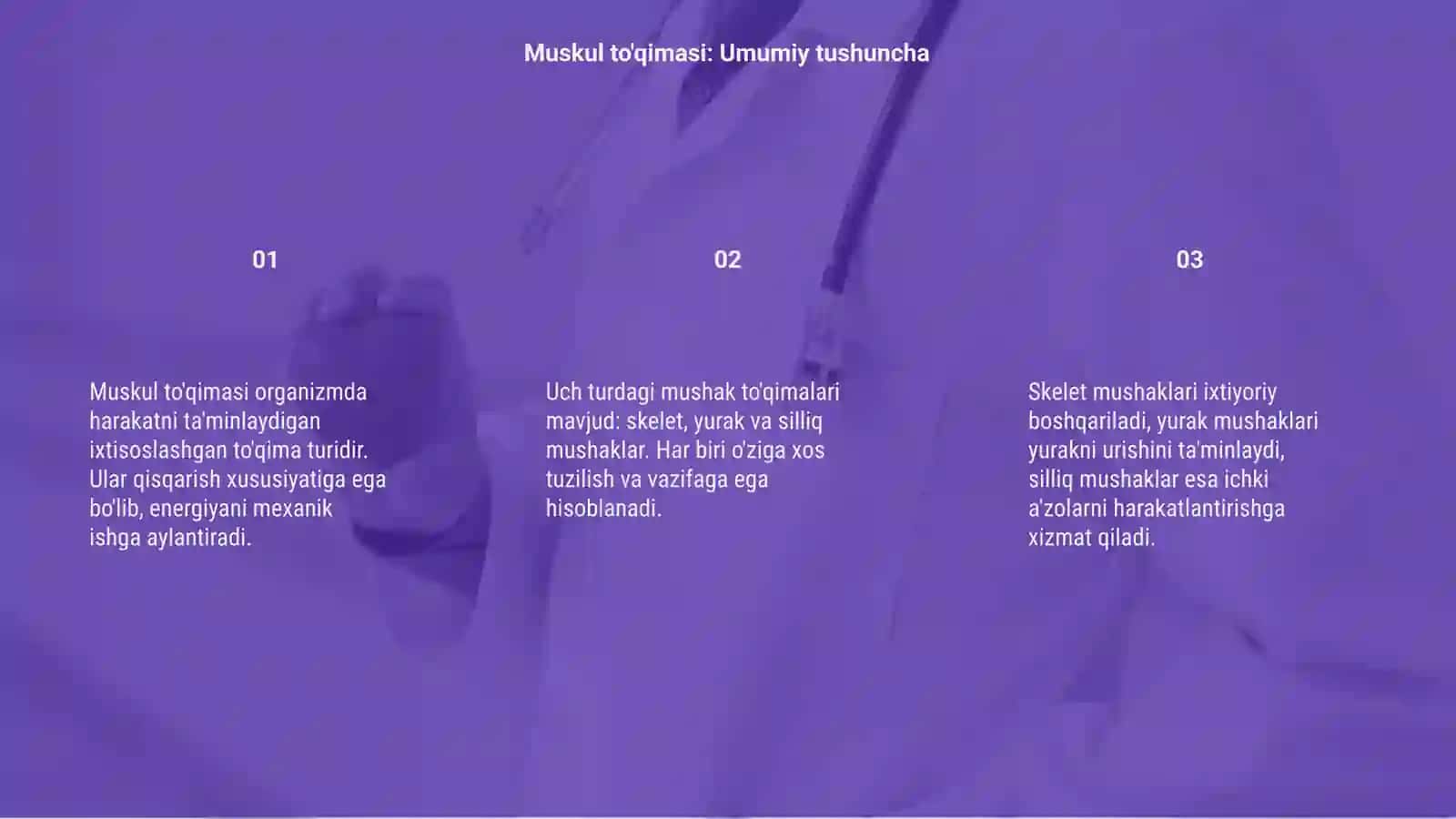 Muskul to'qimasi 3