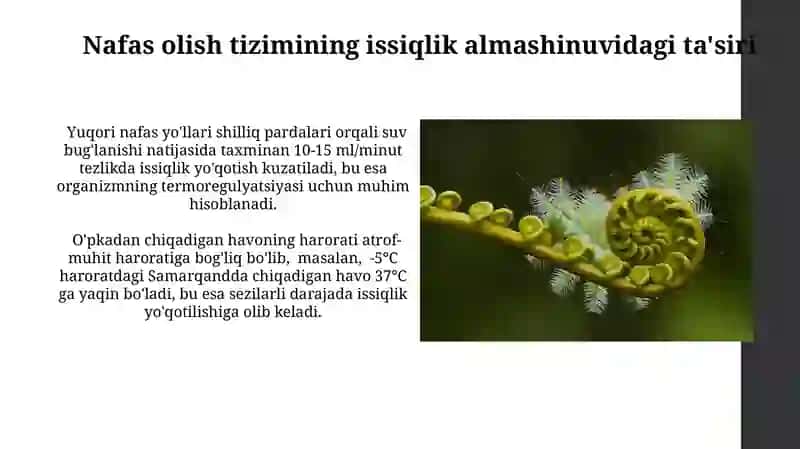Tirik organizmlarda issiqlik almashinuvining biofizik asoslari 3