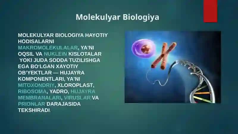 Tiriklikning molekulyar asoslari. Nuklein kislotalar va irsiy belgilarning nasldan-naslga o’tishdagi roli. 3
