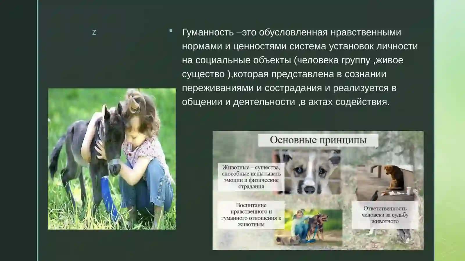 Воспитание гуманного отношения к животным у детей дошкольного возраста 3