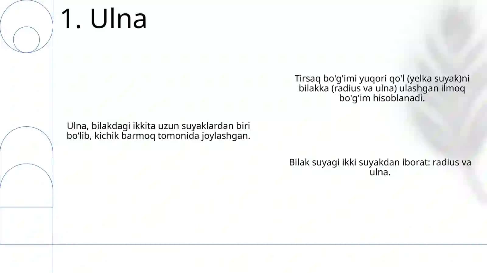 Yelka kamari, qo'lning erkin suyaklari 3