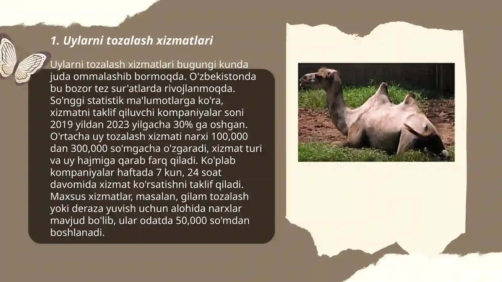Uylarni tozalash xizmatlari 3