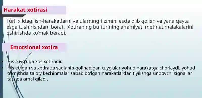 Oliy nerv faoliyati. Xotira va unga ta’sir etuvchi omillar 3
