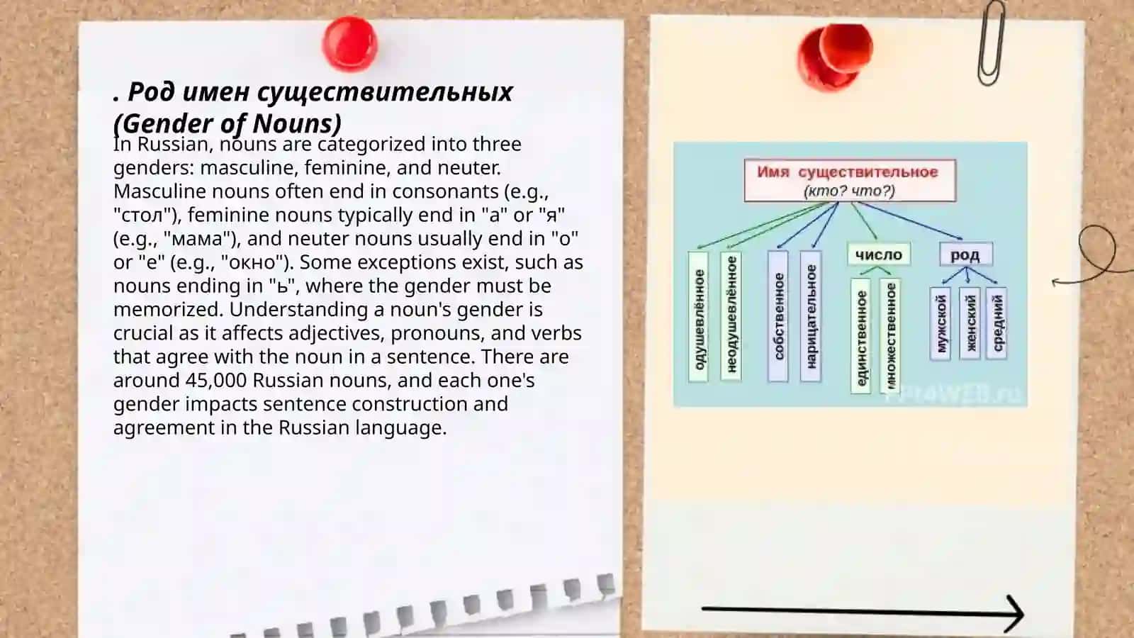 Род имен существительных (Gender of Nouns) 3