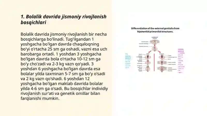 Bolalik davrida jismoniy va fiziologik rivojlanish 3