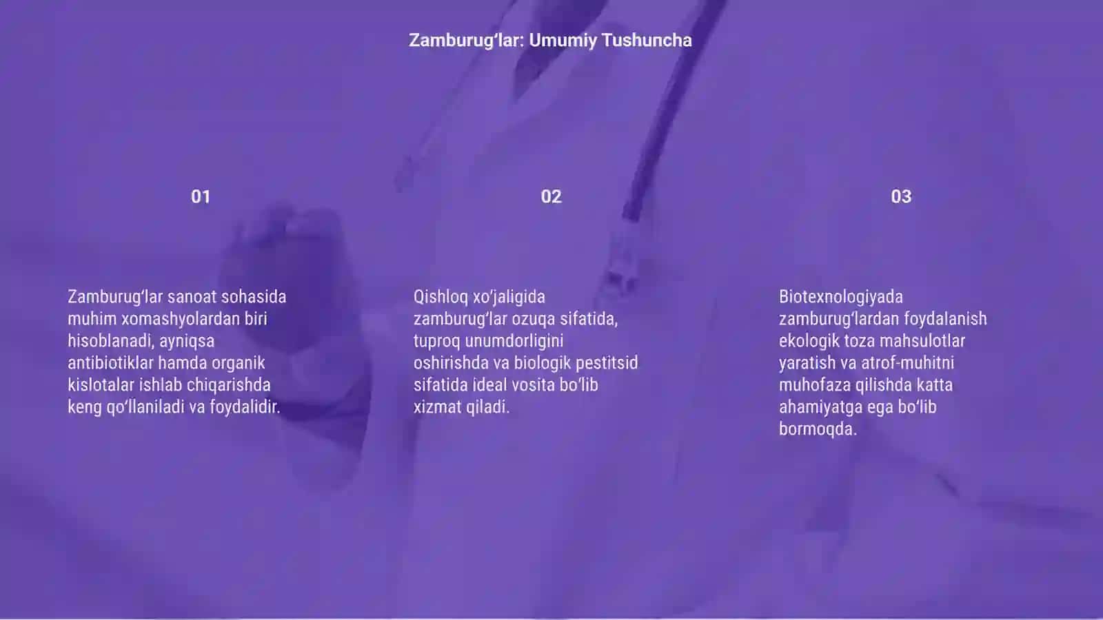 Zamburugʻlarning sanoat va qishloq xoʻjaligidagi ahamiyati 3