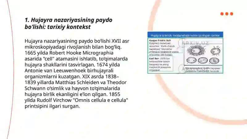 Hujayra nazariyasi yaratilishi 3